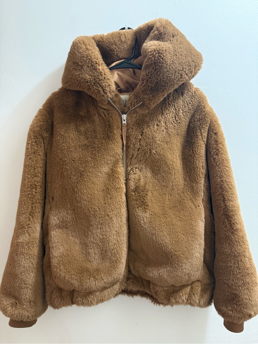 GAP Teddy Bear Coat
